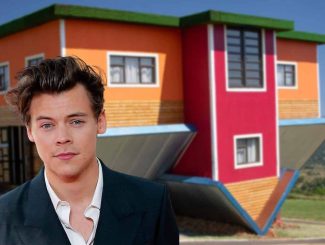 Home Harry Styles